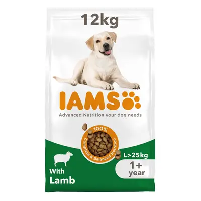 IAMS Advanced Nutrition Adult Large Dog - Lamb - 12kg