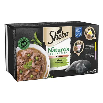 Sheba Nature's Collection Mixed Selection in Gravy - 8 x 85g Trays