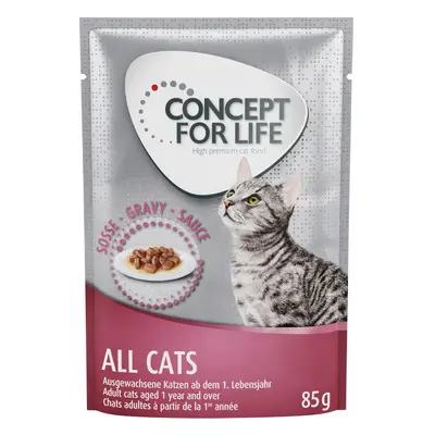 24 x 85g Concept for Life Wet Cat Food - 20 + 4 Free! * - All Cats – in Gravy (24 x 85g)