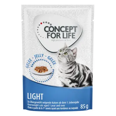 24 x 85g Concept for Life Wet Cat Food - 20 + 4 Free! * - Light – in Jelly (24 x 85g)