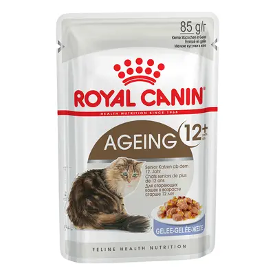 Royal Canin Ageing 12+ in Jelly - 12 x 85g