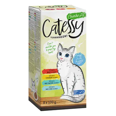 Catessy Trays Mixed Packs 8 x 100g - Chunks in Sauce Mix