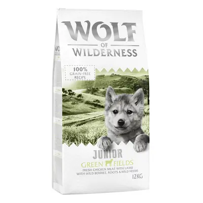 Wolf of Wilderness Economy Pack 2 x 12kg - Junior "Green Fields" - Lamb