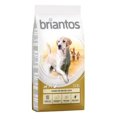 Briantos Maxi Adult - 14kg