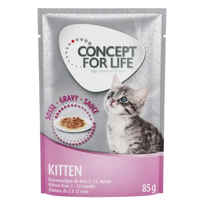 24 x 85g Concept for Life Wet Cat Food - 20 + 4 Free! * - Kitten – in Gravy (24 x 85g)