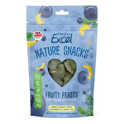 Burgess Excel Nature Snacks Fruity Feasts - Saver Pack: 3 x 60g