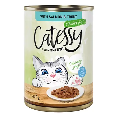 Catessy Chunks in Gravy or Jelly 12 x 400g - Salmon & Trout in Gravy