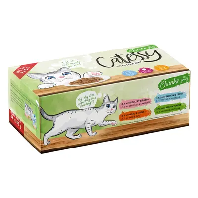 Catessy Pouches Saver Pack 48 x 100g - Chunks in Sauce