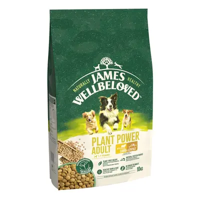 James Wellbeloved Adult Dog Hypoallergenic Plant Power Lamb & Lentils - 10kg