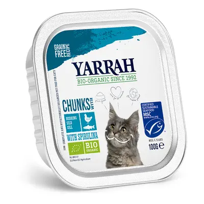 Yarrah Organic Chunks in Gravy 6 x 100g - Fish with Organic Spirulina