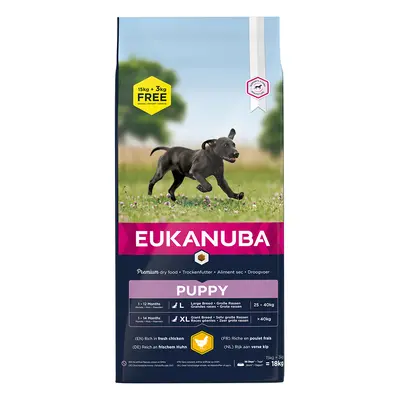 18kg Eukanuba Dry Dog Food- 15kg + 3kg Free! * - Puppy Large Breed - Chicken (18kg)