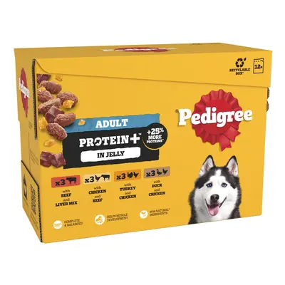 Pedigree Protein+ Pouches in Jelly Multipack - 12 x 85g