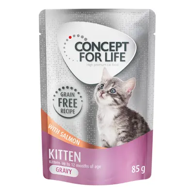 12 x 85g Concept for Life Wet Cat Food - Special Price! * - Kitten Salmon Grain-Free - in Gravy 