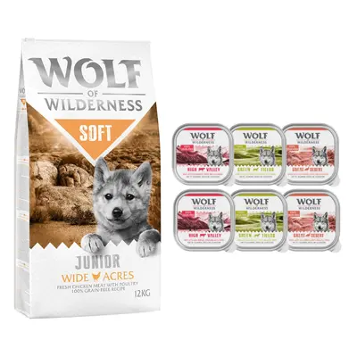 Wolf of Wilderness Dry Dog Food + Wolf of Wilderness Wet Dog Food Free! * - Junior Soft "Wide Ac