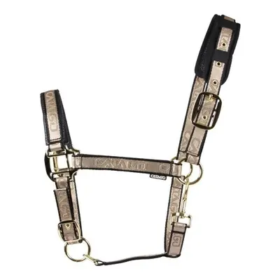 Halter for horse Catago