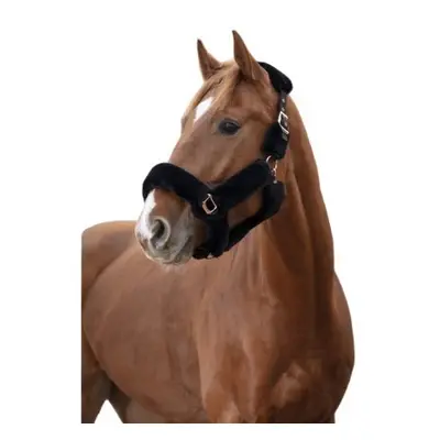 Halter for horse Equithème Teddy Rose gold