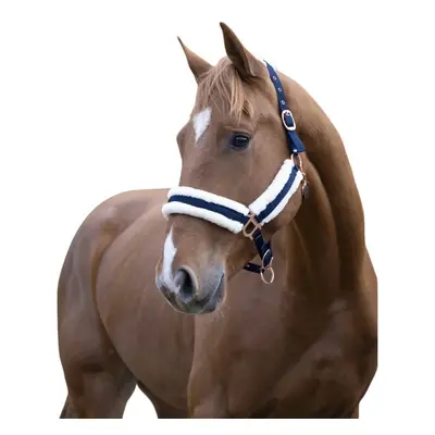 Halter for horse Norton Confort