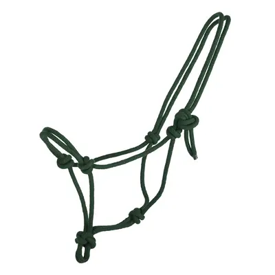 Halter for horse reins QHP Basic