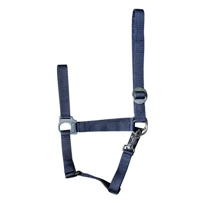 Halter for horse Harry's Horse Economy