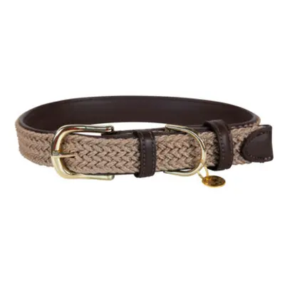 Braided nylon dog collar Kentucky