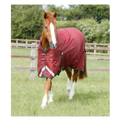 Outdoor horse blanket Premier Equine Titan 100 g