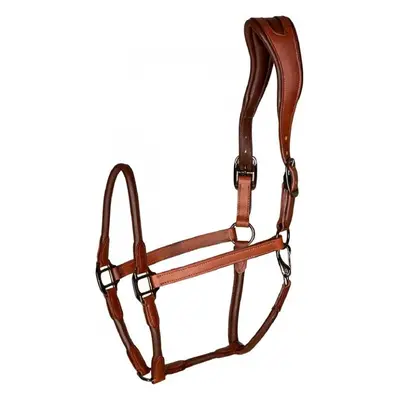 Leather halter for horses Catago