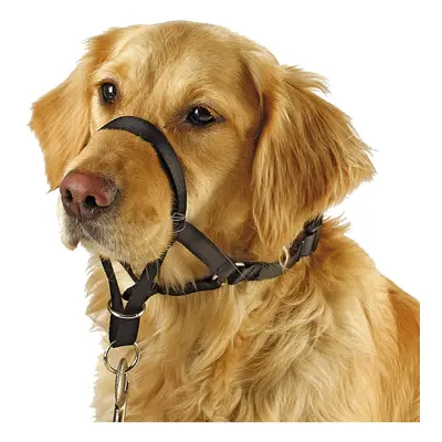 Training collar for dogs Kerbl Maxi Coach