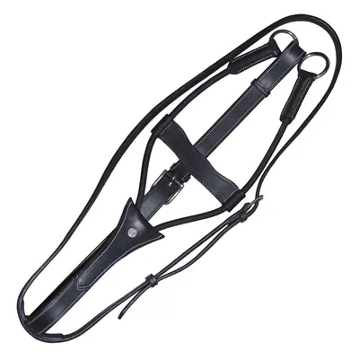 Elastic ring martingale Canter