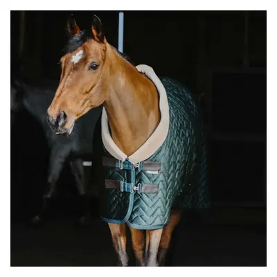 Outdoor velvet horse blanket Equithème Teddy 150 g