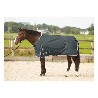 Outdoor horse blanket Harry's Horse Thor 100 gr