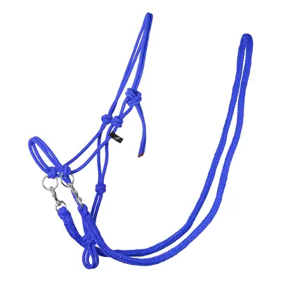 Halter for horse QHP