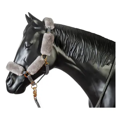 Halter and lead rope set for horse Mattes