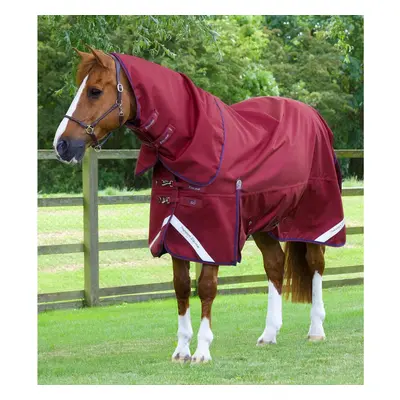 Outdoor horse blanket with neck cover Premier Equine Titan 50 g