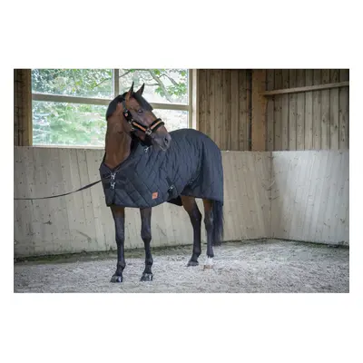 Outdoor blanket for horses Paddock Sports 50g