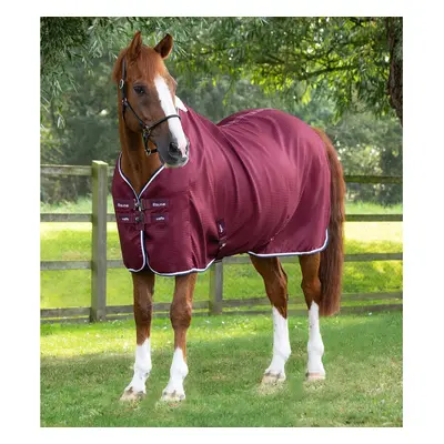 Outdoor horse blanket Premier Equine Cooler Buster