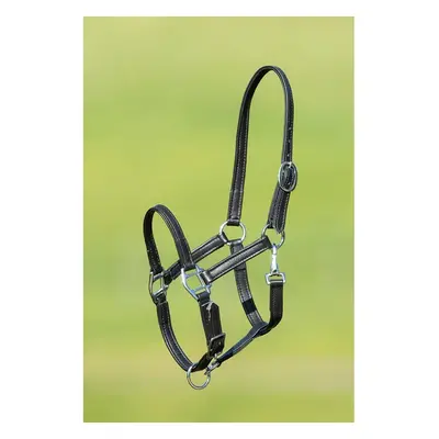 Soft leather halter for horse HFI