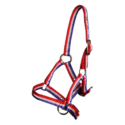 Halter for foal horse Horka