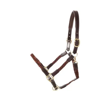 Braided horse halter Kavalkade Tessa