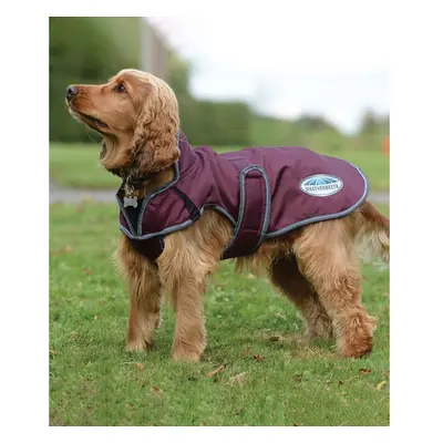 Dog coat Weatherbeeta ComFiTec Windbreaker Free Deluxe