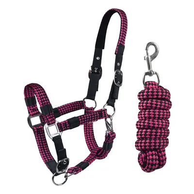 Halter and lead rope set for horse Horka Red Horse