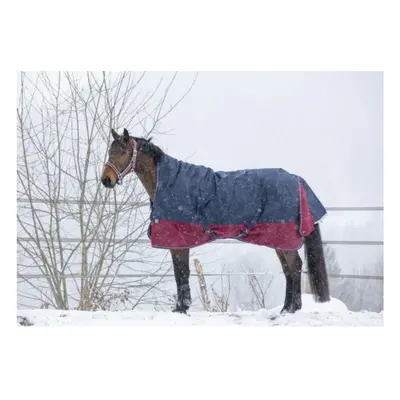 High collar horse blanket Equithème Tyrex 1200 D 300g