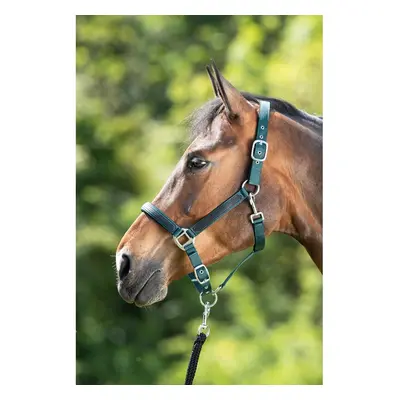 Halter for horse HFI First