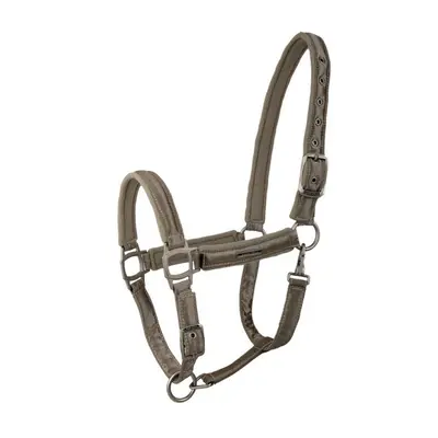 Halter for horse Lami-Cell Aurora