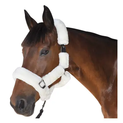 Halter for horse transport Canter