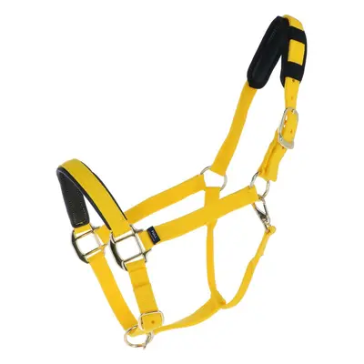 Nylon halter with nubuck lining Daslö