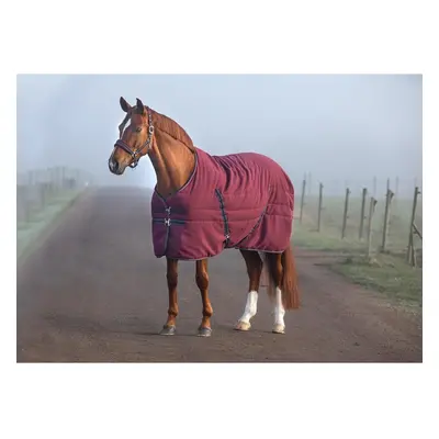 Stable Blanket Horseware Rambo Stable 200 g