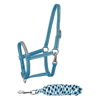 Halter set for foal Harry's Horse