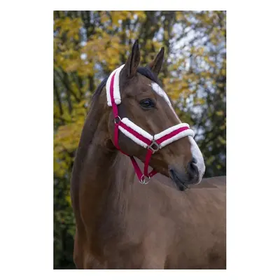 Halter for horse Norton Confort