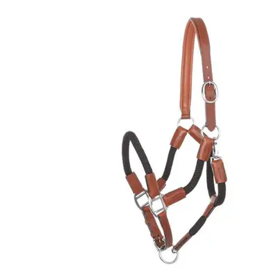 Halter for horse in reins Kavalkade Cavo