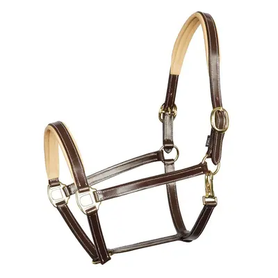 Leather halter for horses Harry's Horse Elegance